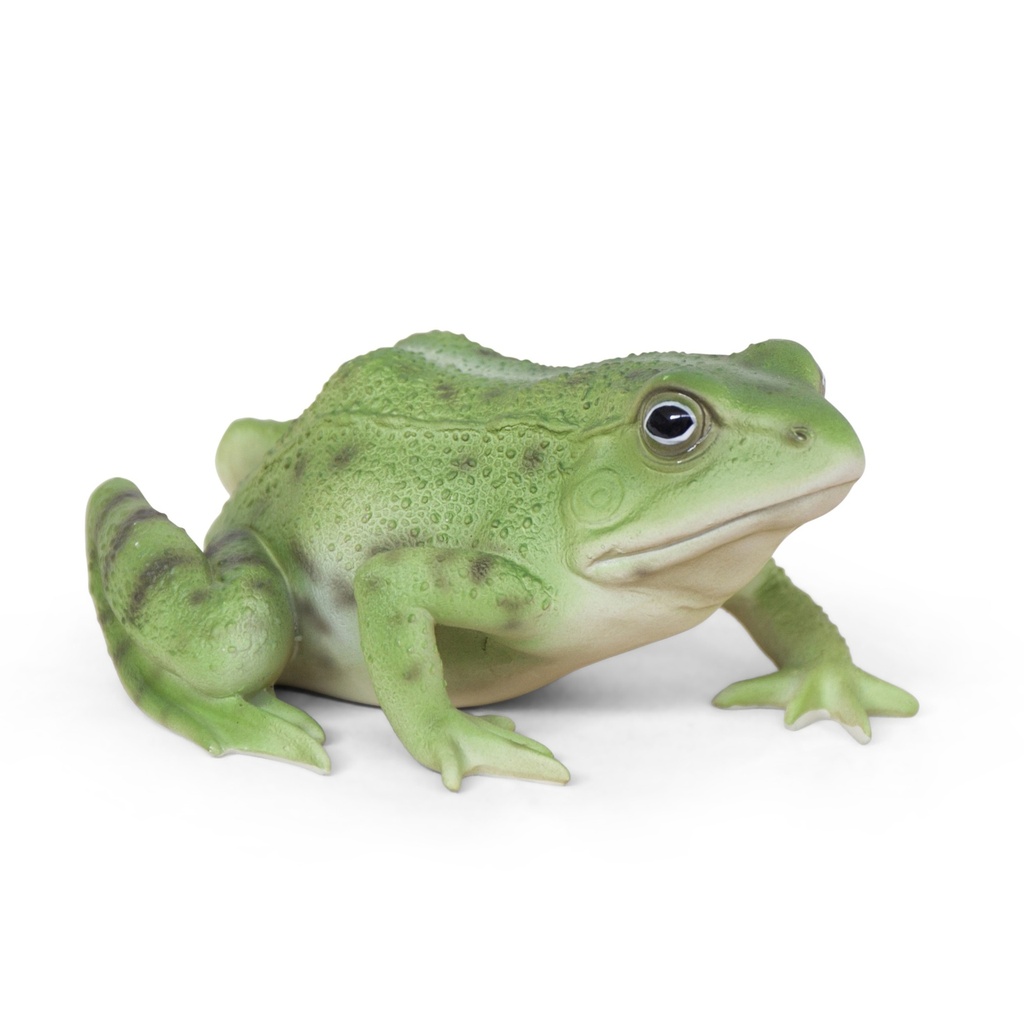 WEB-POLY FROG 15X12H8CM