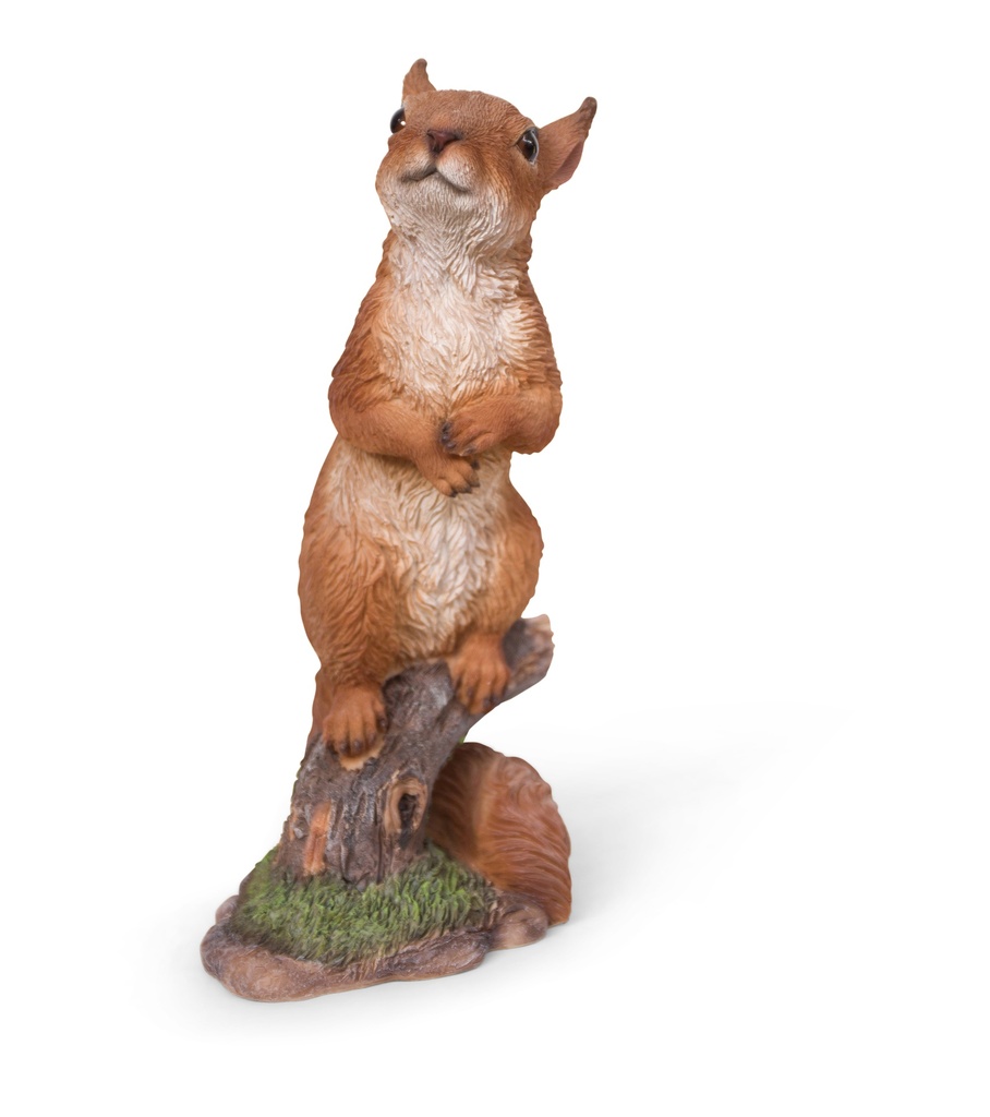WEB-POLY STANDING SQUIRRALS