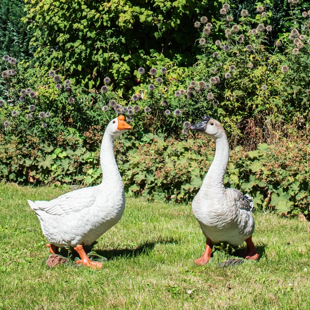 WEB-POLY GOOSE 45X26H65CM