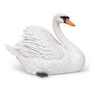 WEB-POLY SWAN