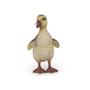 WEB-POLY BABY DUCK