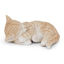WEB-POLY SLEEPING CATS