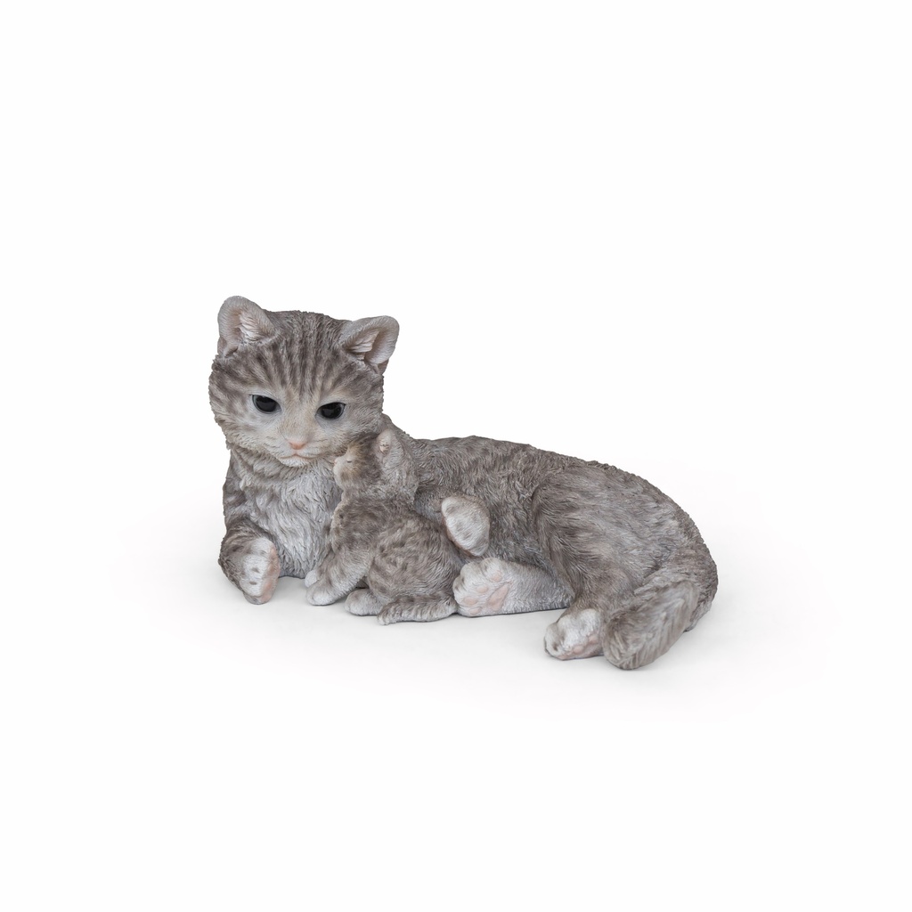 WEB-POLY CAT + KITTEN 35X21H18CM