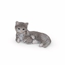 WEB-POLY CAT + KITTEN 35X21H18CM
