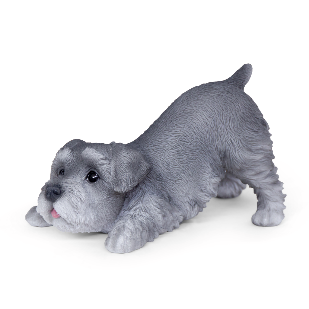 WEB-POLY PLAYING PUPS