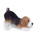 WEB-POLY PLAYING PUPS