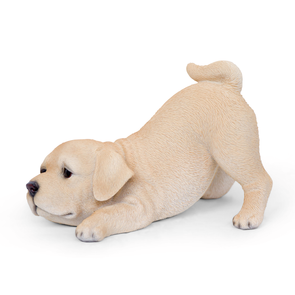 WEB-POLY PLAYING PUPS