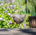 WEB-POLY HEN & ROOSTER ROYAL