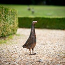 WEB-METAL ANTIQUE DUCK-HEN-ROOSTER