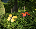 WEB-METAL BUTTERFLY