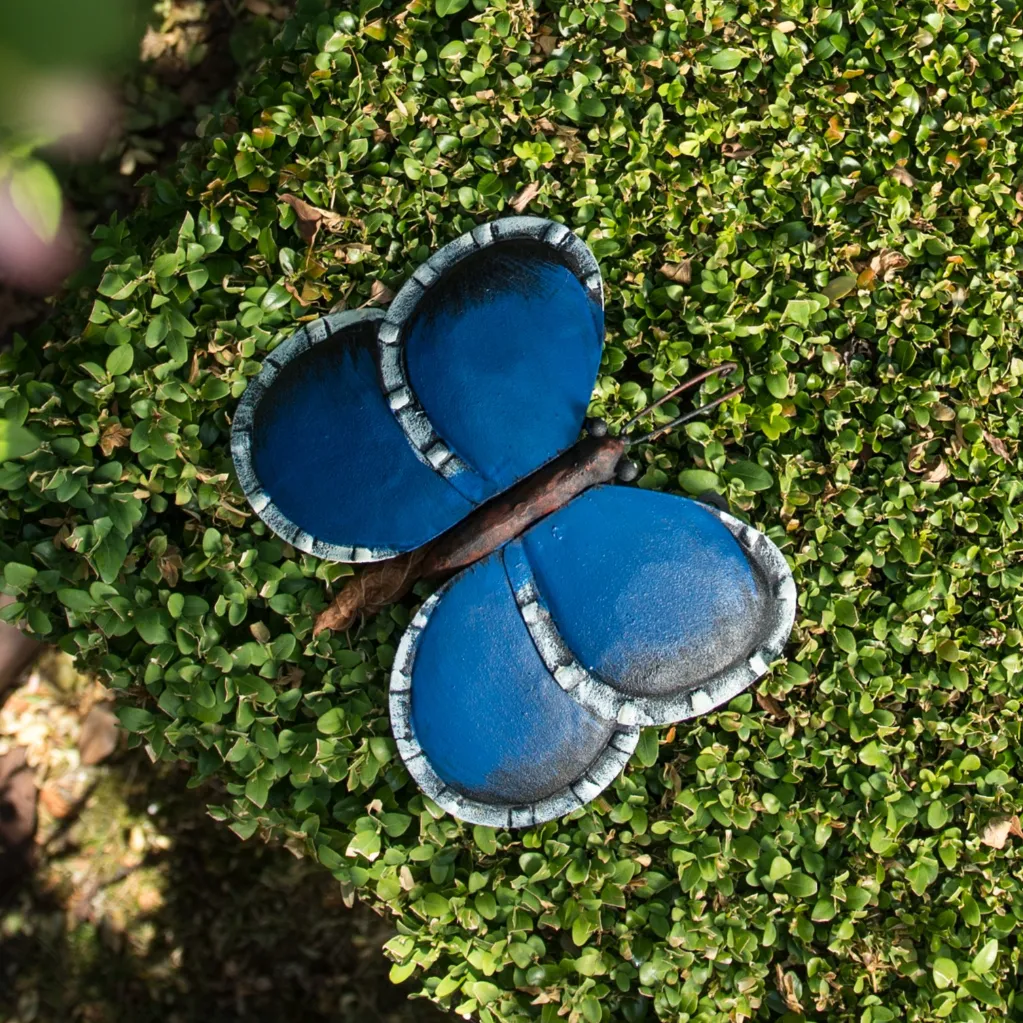 70703592 - Metal Butterfly Blue - in situ carré.webp