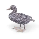 11154181 - Royal Duck 4-1.webp