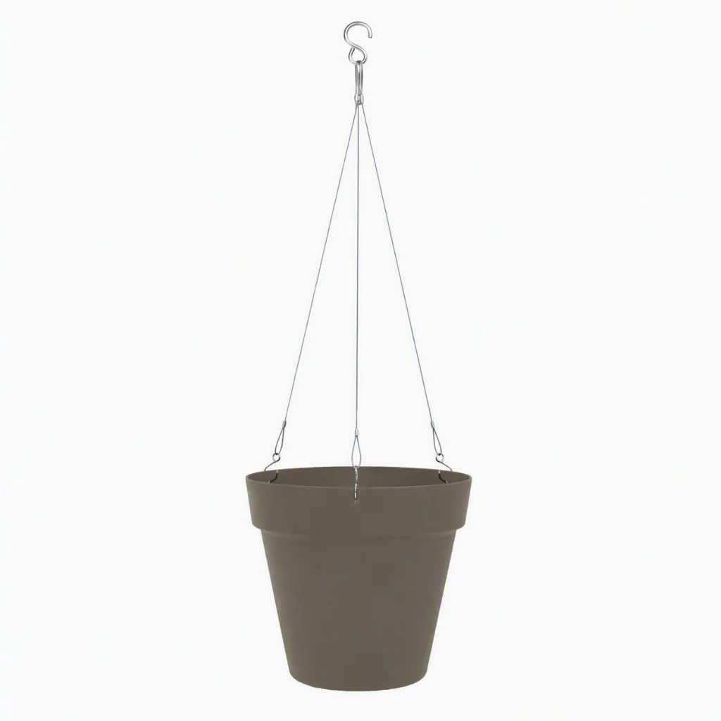 Star Air taupe fond blanc.webp