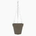 Star Air taupe fond blanc.webp