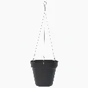 Star Air anthracite fond blanc.webp