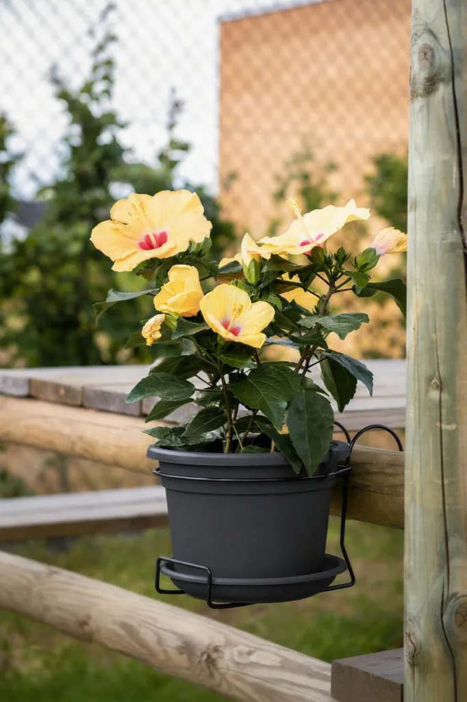 Kit Cilindro balcon in situ anthracite.webp