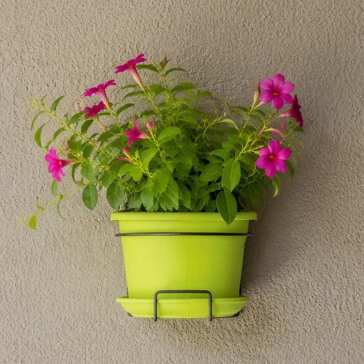 Kit Cilindro wall in situ lime carré.webp