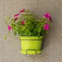 Kit Cilindro wall in situ lime carré.webp