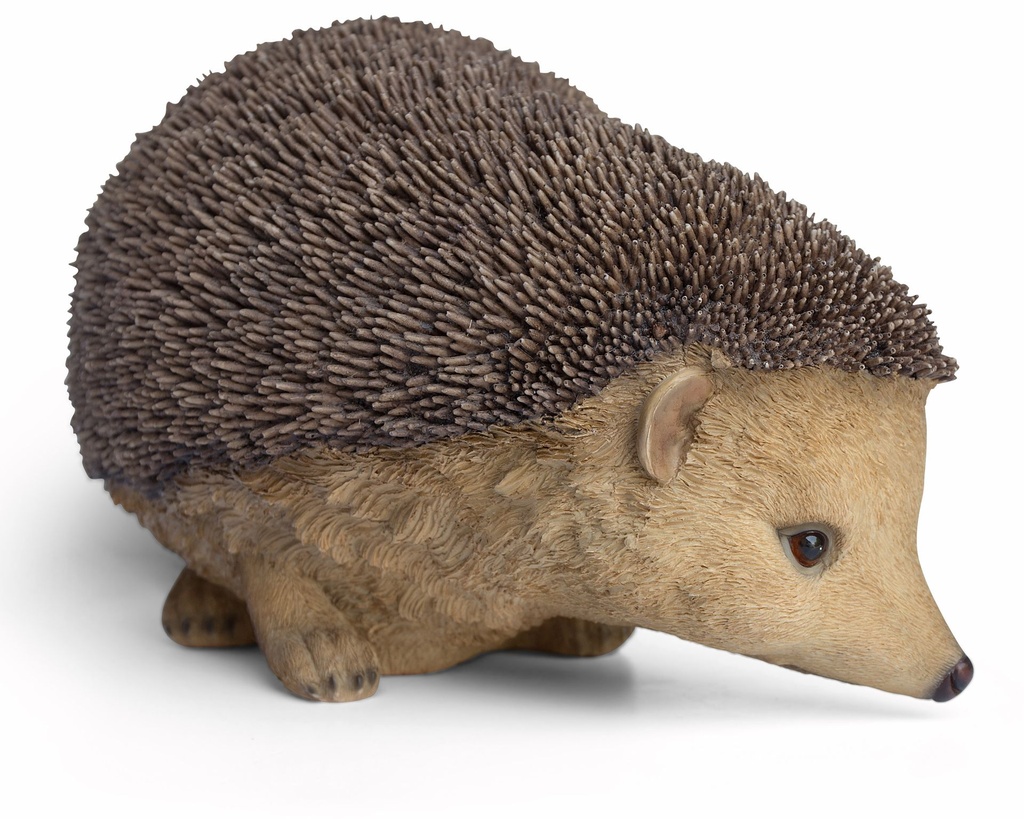 11152906- xxl hedgehog 2-1.jpg