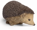 11152906- xxl hedgehog 2-1.jpg