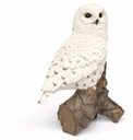 11152915- snowy owl 2-1.jpg
