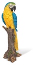 056844- Macaw Blue -2.jpg