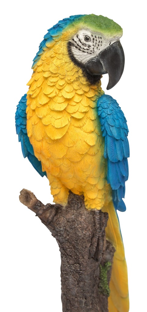 056844- Macaw Blue -4.jpg