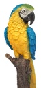 056844- Macaw Blue -4.jpg
