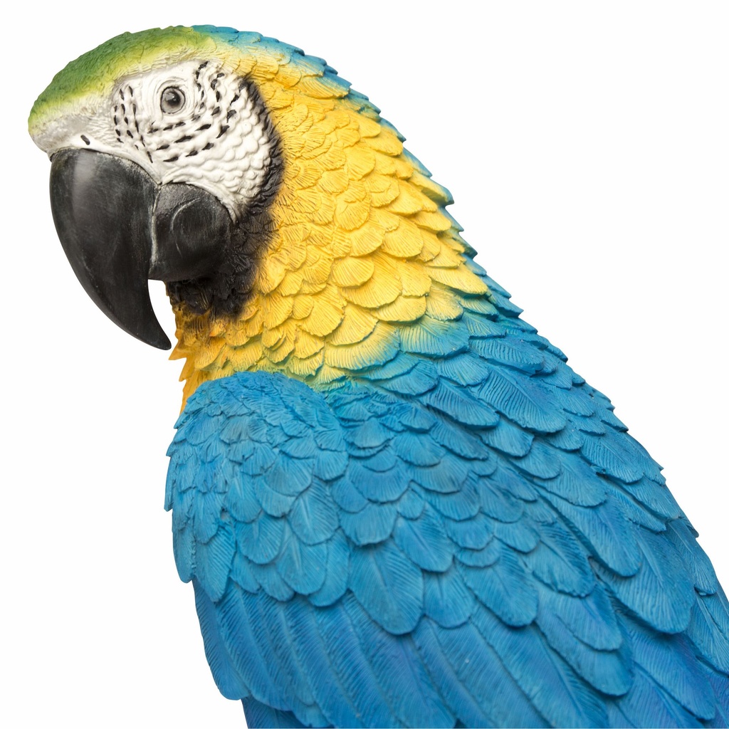 056844- Macaw Blue -5-1.jpg