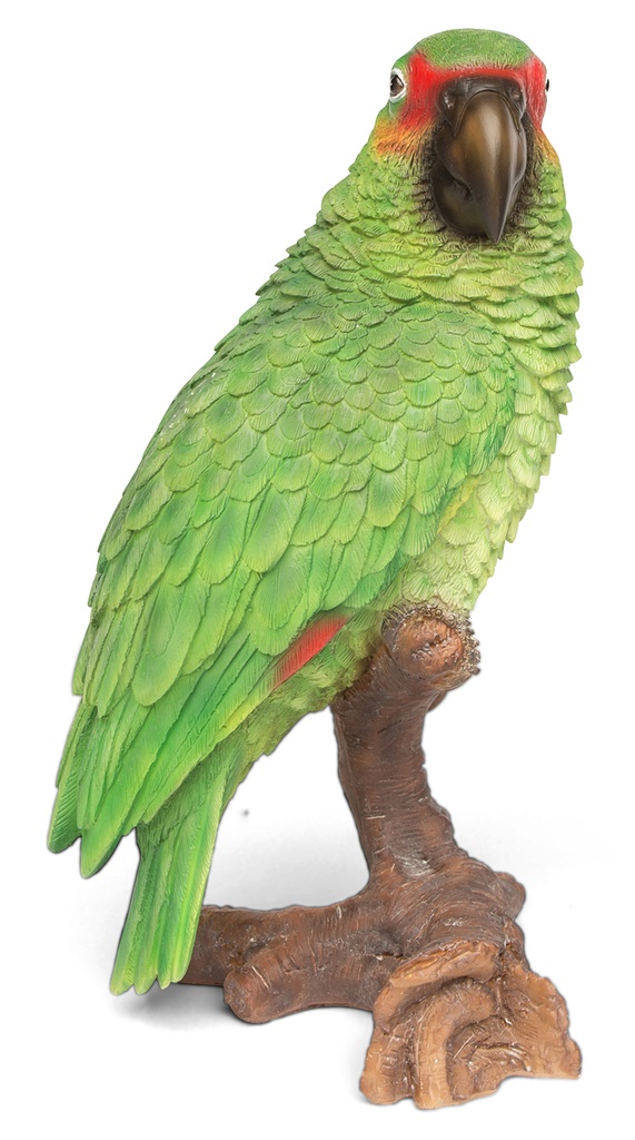056841- Parrot Green -2.jpg