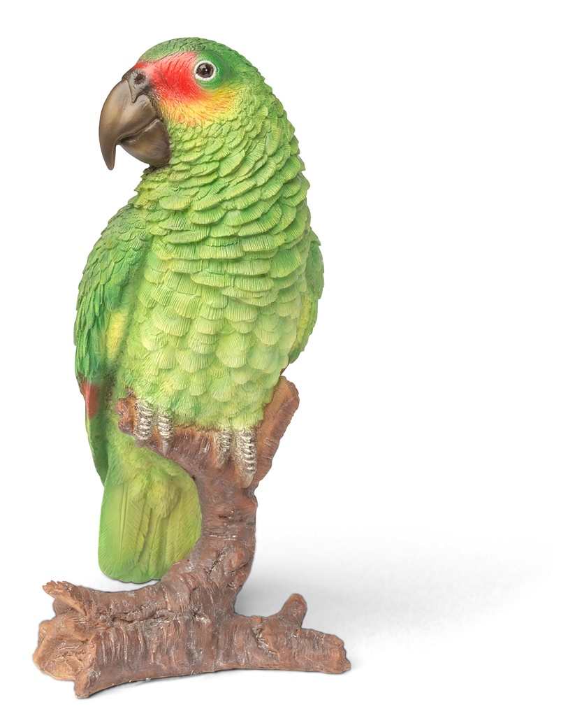 056841- Parrot Green -3.jpg
