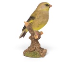 11152920 - goldfinch 4.jpg