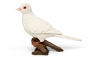 11152921 - Diamond Dove -3.jpg
