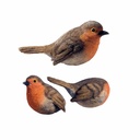 11153228 - Robin Magnet-1.jpg