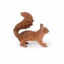 11154174 - squirrel walking -2-1 1-1.jpg