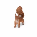 11154174 - squirrel walking -3-1 1-1.jpg