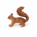 11154174 - squirrel walking -5-1 1-1.jpg