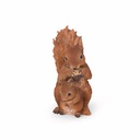 11154175 - squirrel+baby -2-1 1-1.jpg