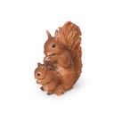 11154175 - squirrel+baby -3-1 1-1.jpg