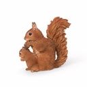 11154175 - squirrel+baby -4-1 1-1.jpg