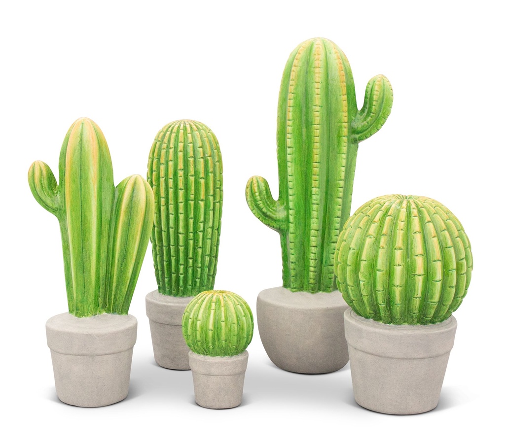 Ceramic Out - Cactus+Pot - family_1.jpg