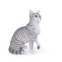 POLYRESINE CHAT ASSIS