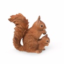 11154175 - squirrel+baby -5-1 1-1.jpg