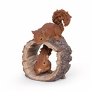 11154180 - squirrel duo playing +wood -2-1 1-1.jpg