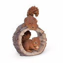 11154180 - squirrel duo playing +wood -3-1 1-1.jpg