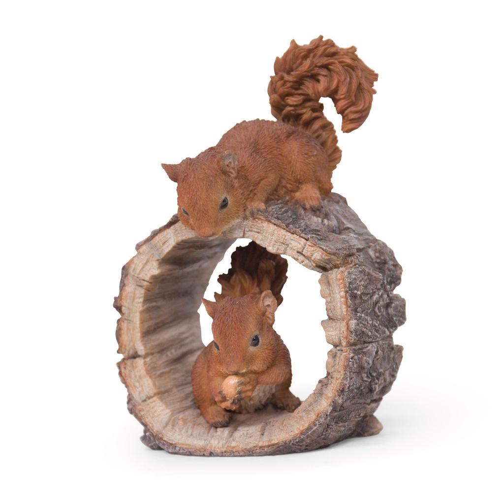 11154180 - squirrel duo playing +wood -4-1 1-1.jpg