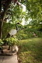 70701567 - Garden ID - White Crackled - Metal Crane White Crackled - in situ 2.jpg