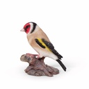 11154166 - goldfinch red on wood -3-1 1-1.jpg