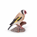 11154166 - goldfinch red on wood -4-1 1-1.jpg