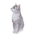 POLYRESINE CHAT ASSIS